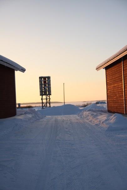 Wanha Pappila Cottages Simoniemi المظهر الخارجي الصورة