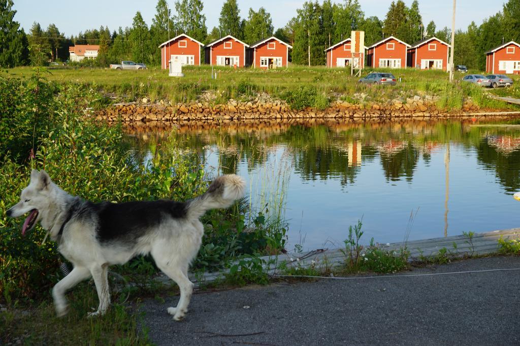 Wanha Pappila Cottages Simoniemi المظهر الخارجي الصورة